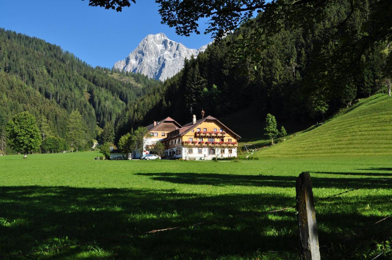 Gloeshof Guest house *